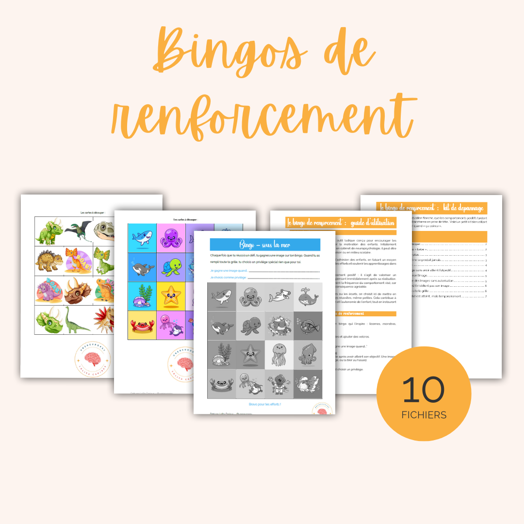 Les bingos de renforcement - pack de 10 pdfs