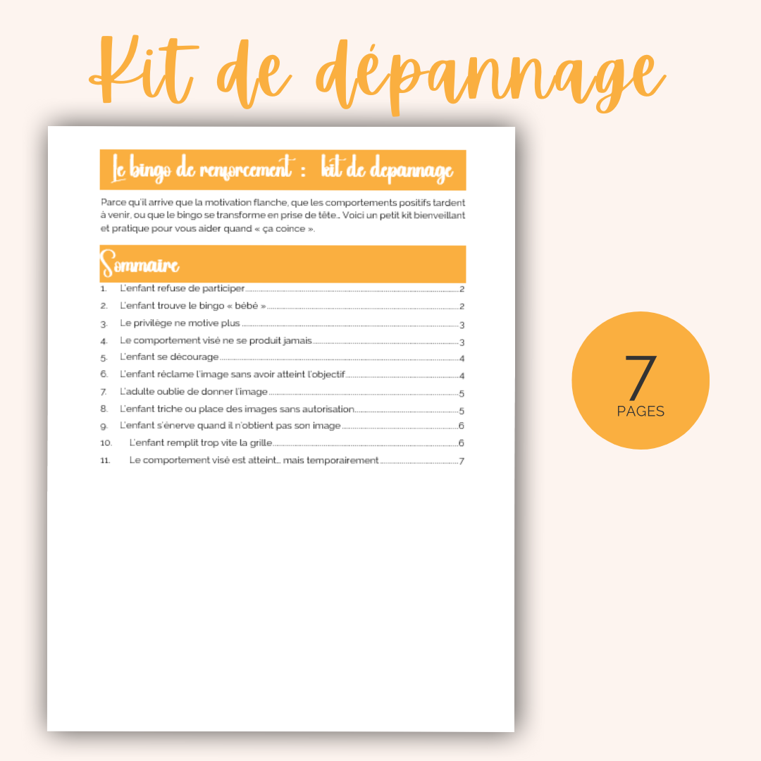 Les bingos de renforcement - pack de 10 pdfs